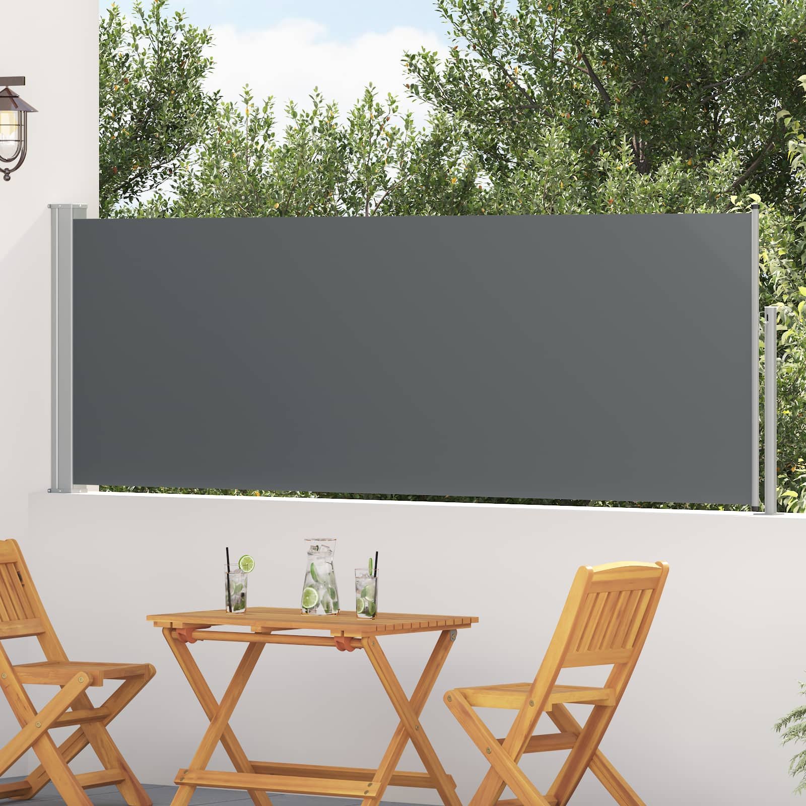 Retractable Side Awning Anthracite 118.11 x 39.37 in Polyester