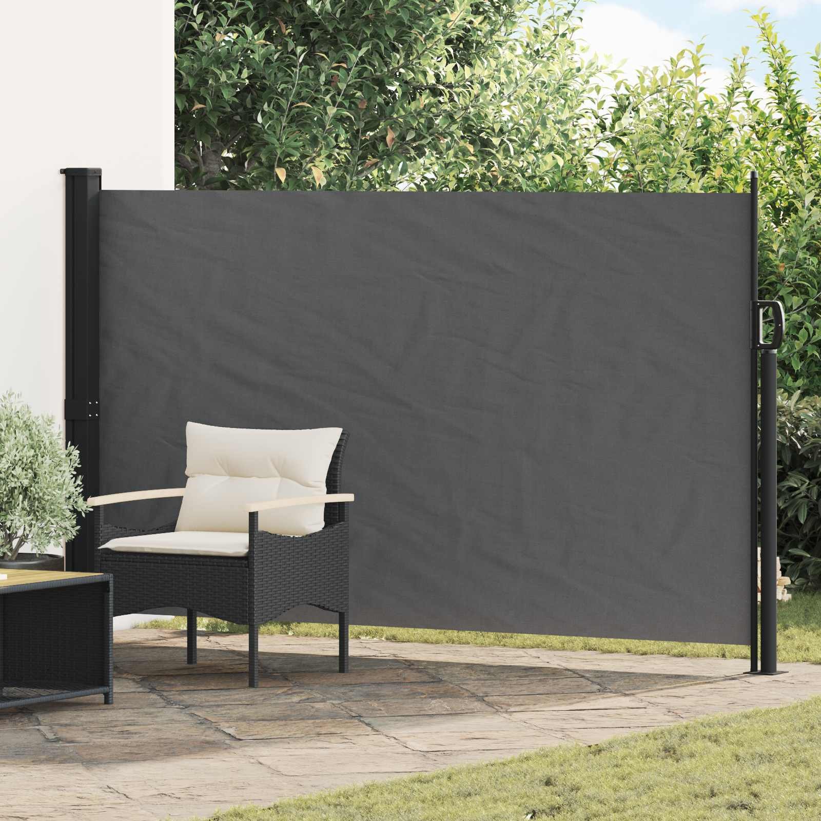 Retractable Side Awning Anthracite 118.11 x 66.93 in Polyester