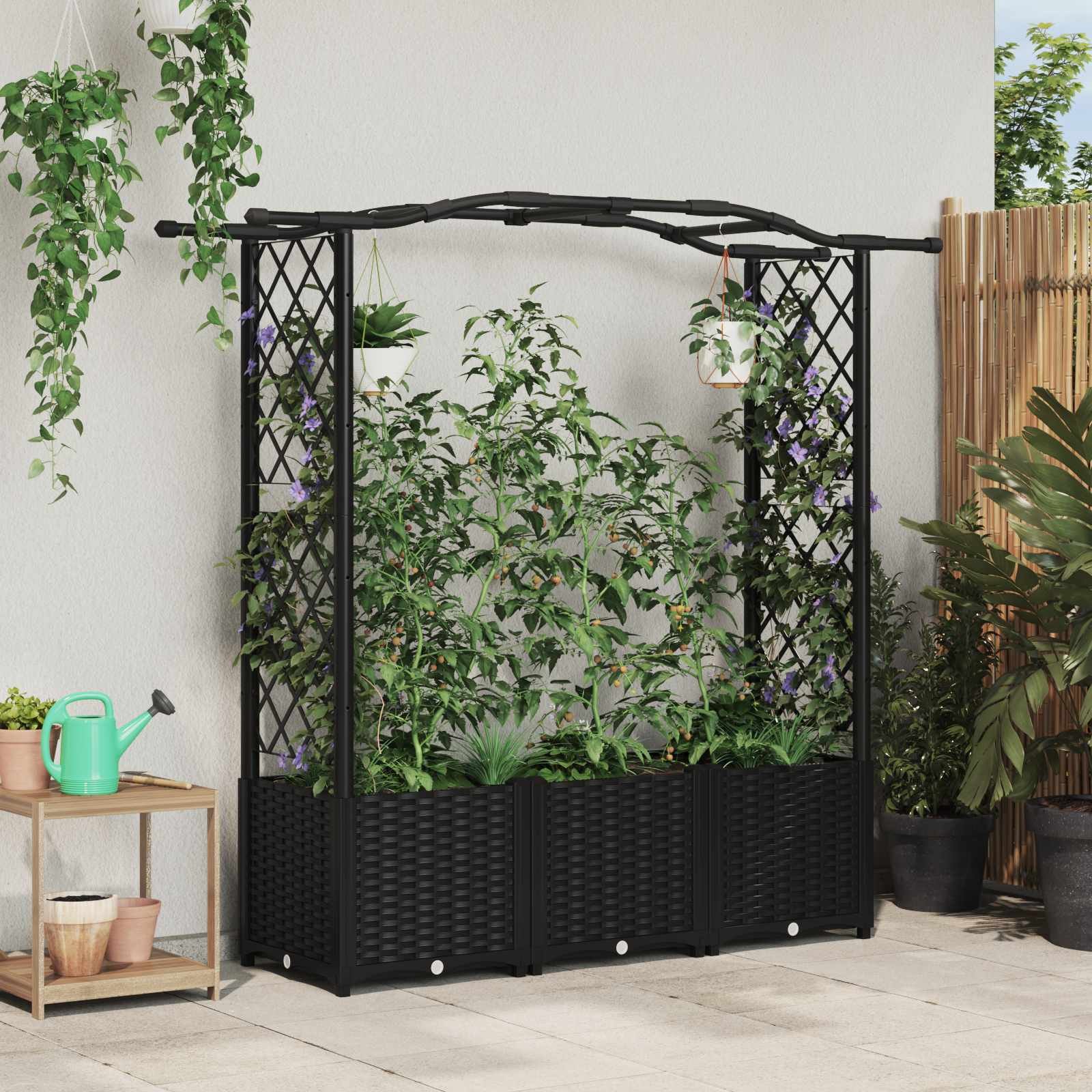 Raised Bed with Trellis and Roof Black 164 x 40 x 138 cm PP